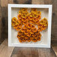 Paw Print Shadow box Tones of Orange