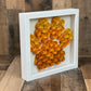Paw Print Shadow box Tones of Orange